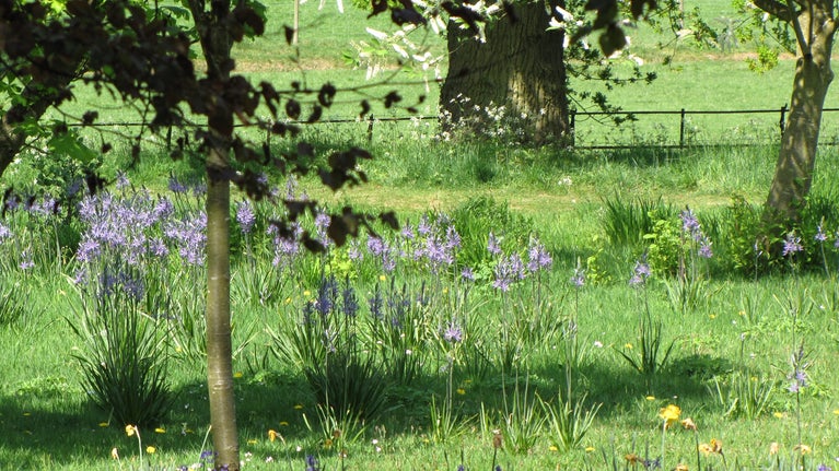 The spring gardens merge into the parkland at Packwood, Warwickshire